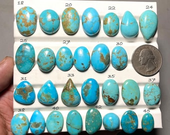 May include: A collection of turquoise gemstones in various shapes and sizes, including oval, teardrop, and irregular forms. The stones display a range of blue-green hues with brown matrix patterns. A U.S. quarter is included for size reference.