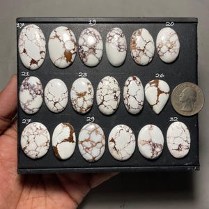 May include: A collection of oval and teardrop-shaped white turquoise gemstones with brown and black veining. The gemstones are arranged in a black tray, with a quarter coin for size comparison. The stones vary in size and pattern.