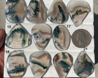 May include: A collection of polished moss agate gemstones in various shapes, including oval, teardrop, and irregular forms. The stones display a mix of translucent white, beige, and green patterns, with a US quarter for size comparison. The gemstones are displayed on a white surface.