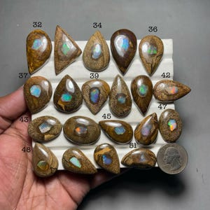 Puede incluir: Una colección de piedras preciosas de ópalo pulidas en varias formas, incluyendo gotas, óvalos y triángulos. Los ópalos muestran colores iridiscentes dentro de una matriz marrón. Se incluye una moneda como referencia de tamaño.