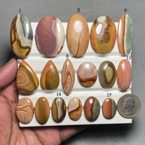 May include: A selection of polished gemstones in oval and teardrop shapes, featuring a range of colours such as brown, orange, pink, and grey. The gemstones are presented on a white surface, with a coin for size comparison. The stones display unique patterns.