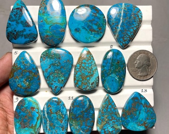 Könnte beinhalten: Eine Sammlung polierter Türkis-Edelsteine in verschiedenen Formen, darunter Tropfen, Oval und Rund. Die Steine zeigen eine leuchtende blaue Farbe mit braunen Matrixmustern. Eine US-Viertel-Dollar-Münze ist zum Größenvergleich enthalten.