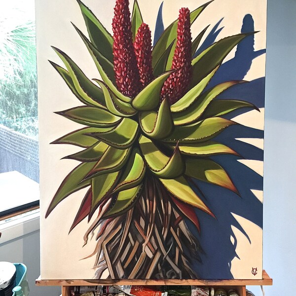 Original oil Aloe by Carin Vaughn