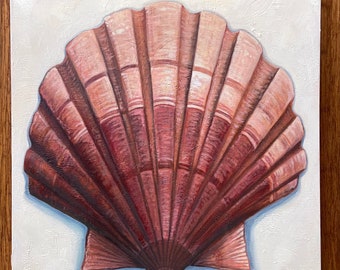 Giant scallop shell 24”x24” original oil on canvas