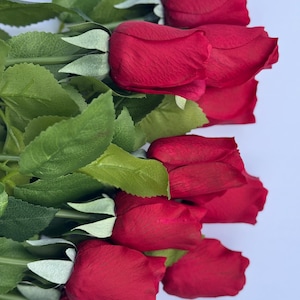 May include: A bouquet of red roses with green leaves. The roses are in full bloom, with tightly packed petals. The leaves are a vibrant green, and the stems are visible. The background is a plain white.