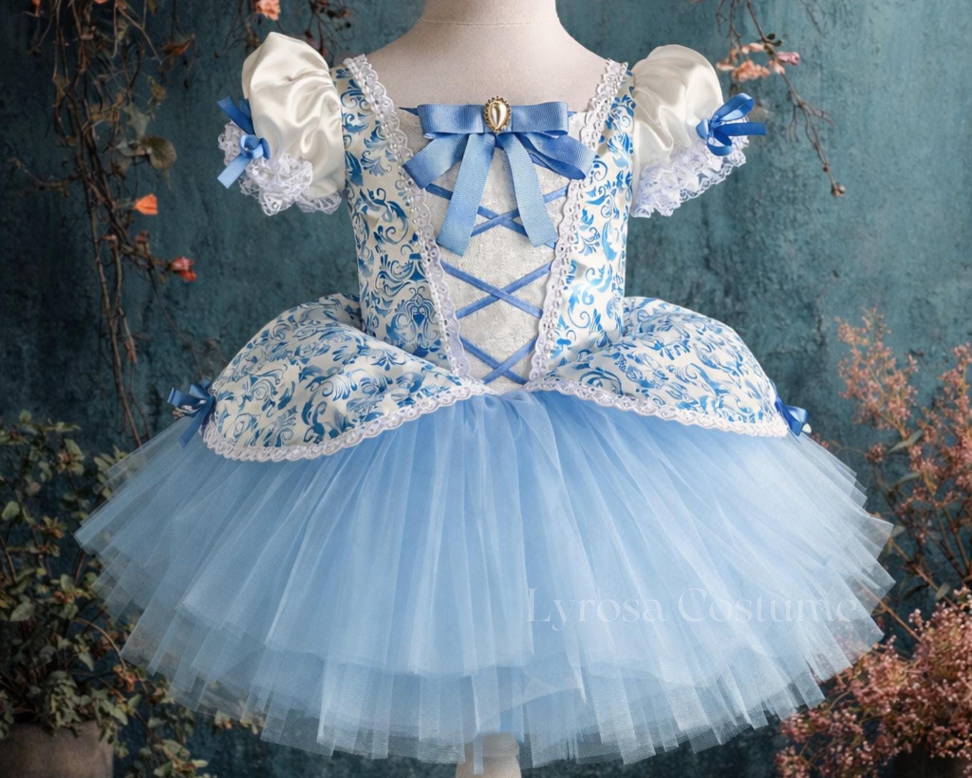 Cinderella Tutu Dress - Etsy Canada
