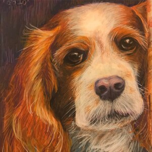 Custom original artwork, portrait of any animal you choose, mixed color media, choose size, media, colors, add details if you want!