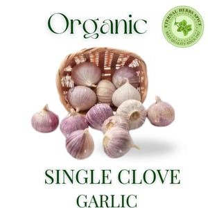 Pode incluir: Imagem de alho monobulbo orgânico. Os bulbos de alho são roxos e brancos, alguns estão em uma cesta de vime. Os textos "Organic" e "Single Clove Garlic" são exibidos. Um logotipo circular com o texto "Eternal Herbs Spice" está no canto superior direito.