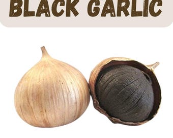 Bulbos de ajo negro solo, pelados Kala Lahsun