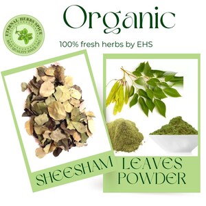 sheesham leaves / powder, Dalbergia sissoo, rosewood, Shisham, Penny leaf whole & powder by EHS"