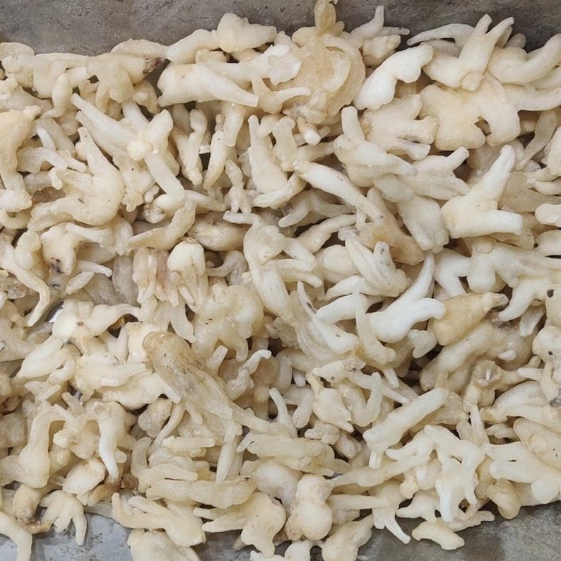 Puede incluir: Primer plano de un mont&oacute;n de objetos de color beige claro, secos y de forma irregular. Los objetos tienen una apariencia texturizada, casi coralina, con m&uacute;ltiples protuberancias y tama&ntilde;os variables. La impresi&oacute;n general es de un material natural y org&aacute;nico.