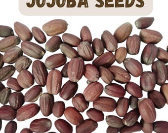 EHS graine de jojoba, noisetier sauvage, noix de coco, caféier