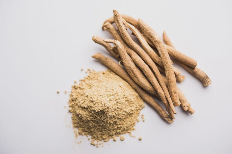 Op de afbeelding: Een close-up van lichtbruin ashwagandapoeder en wortels. Het poeder is fijn gemalen, naast een bundel beige ashwagandawortels. De wortels zijn lang en dun. De achtergrond is effen wit.