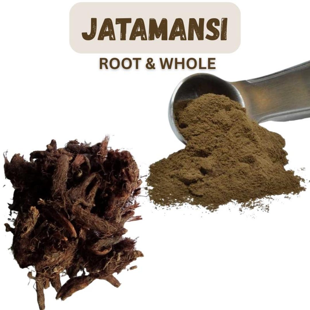Jatamansi, Nardus Jatamansi Root, Natural Jatamansi Powder, Balchar ...