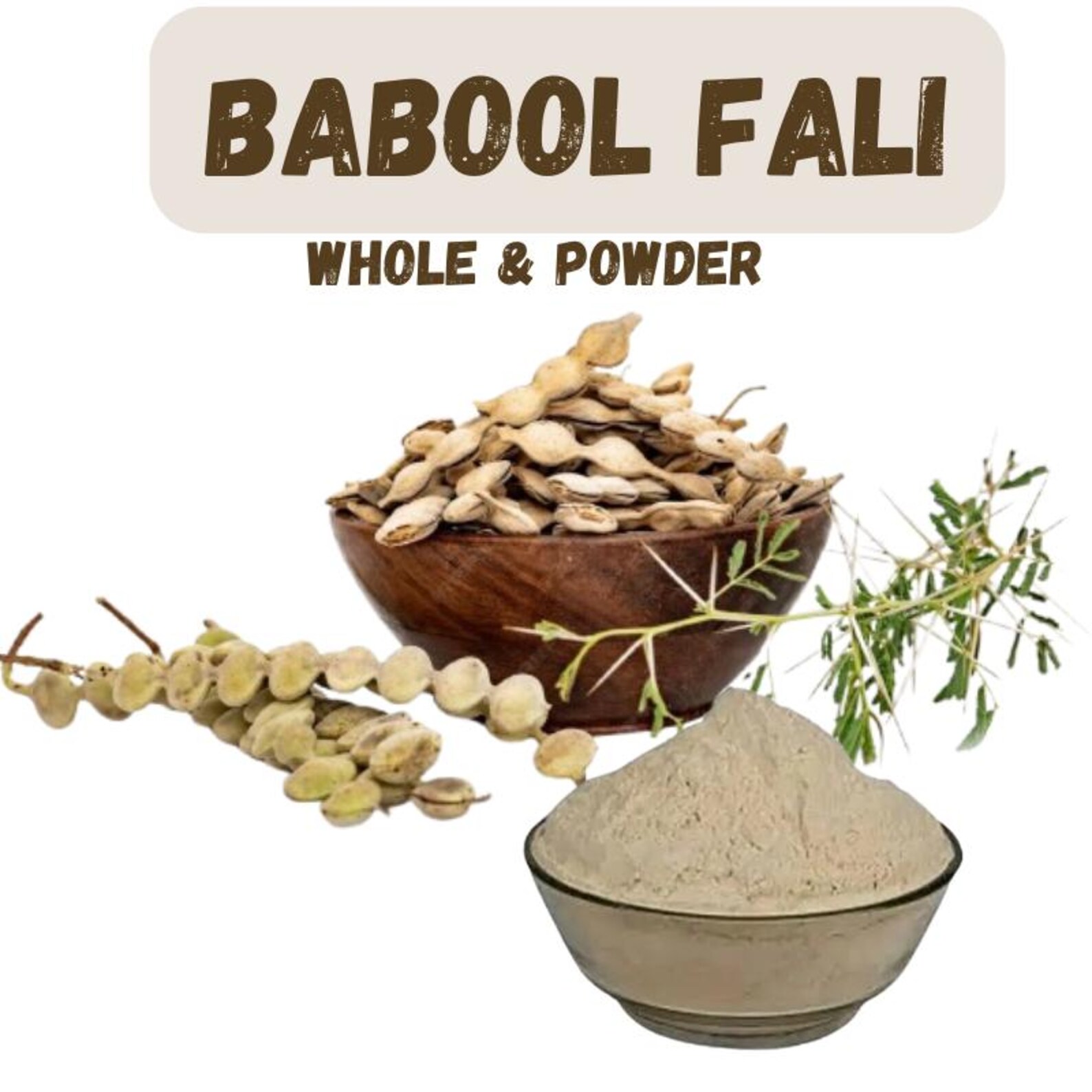 Acacia Arabica(dry), Babool Phali Powder, Kikar Fali - Etsy