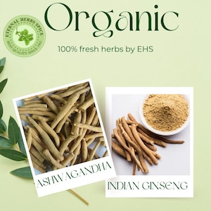 Ashwagandha-wortels en -poeder, Indiase ginseng, Withania Somnifera, natuurlijk kruidenpoeder van EHS afbeelding 1