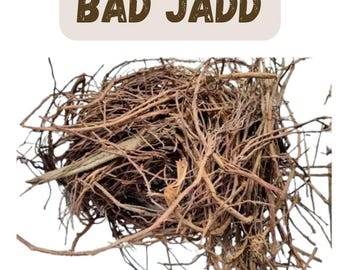 Bargad Ki Dadhi | Banyan-luchtwortels | Ficus Benghalensis | Jatavata, Bar Ki Dari van EHS
