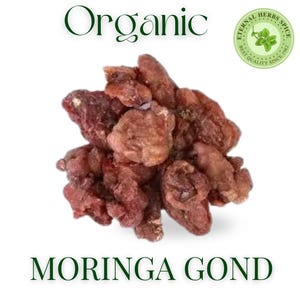 Moringa gond - Sahajan Gondh - Moringa gum - Shobhanjana