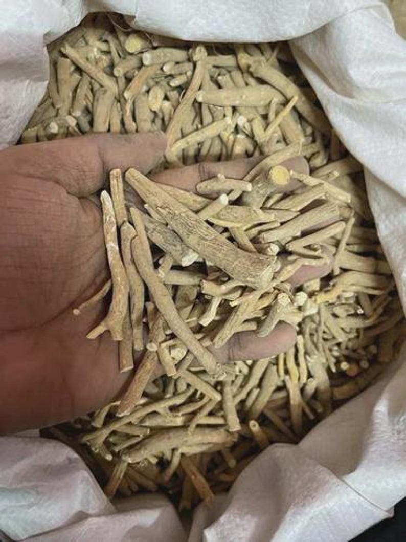 Op de afbeelding: Een close-up van een hand die een handvol lichtbruine, gedroogde ashwagandha-wortels vasthoudt. De wortels zijn van verschillende groottes en vormen, met een ruwe, getextureerde uitstraling. De wortels zitten in een witte zak.