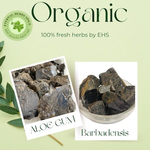 Aloe vera gum - Etsy sterreich