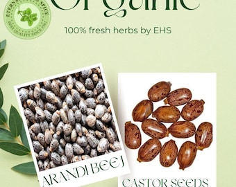 Organic Arandi Beej, Ricinus Communis, Castor Seeds BY EHS