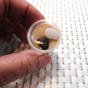 Puede incluir: Un pequeño recipiente de plástico transparente que contiene arena, una piedra negra y dos piedras blancas. El recipiente se sostiene en una mano, con el contenido visible sobre un fondo claro.