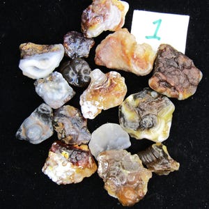 Bruine chalcedoon botryoïdale agaat/ruwe Arizona-stenen 6 Ounces #1