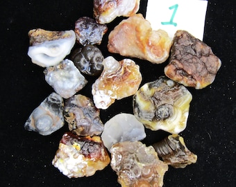 Brown Chalcedony Botryoidal agate/raw Arizona stones 6 Ounces #1