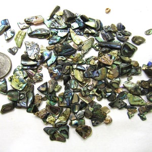 May include: A pile of iridescent abalone shell pieces in various shapes and sizes. The shell pieces are a mix of green, blue, and brown colors.