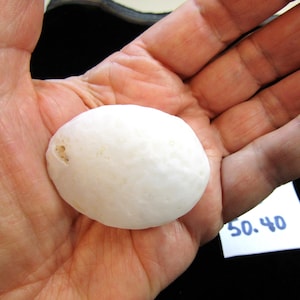 Puede incluir: Una piedra lisa, blanca, de forma ovalada, con una superficie ligeramente texturizada. La piedra se sostiene en una mano abierta, con una pequeña mancha marrón clara visible en su superficie. Una etiqueta blanca con los números "50.40" está en el fondo.