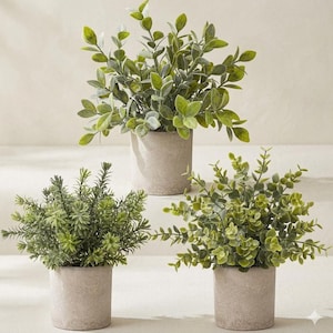 May include: Three artificial potted plants in cylindrical beige pots. One plant features broad, rounded green leaves, another has fine, needle-like foliage, and the third displays small, circular leaves on thin, branching stems.