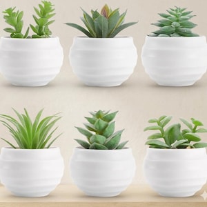 Succulent Bathroom - Etsy