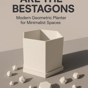 Los hexágonos son los mejores - Jardinera de interior