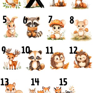 Op de afbeelding: Een verzameling van 15 aquarel illustraties van bosdieren, waaronder een uil, een vos, een konijn, een wasbeer, een muis, een paddenstoel, een hert, een egel en een eekhoorn. Elk dier is in cartoonstijl afgebeeld.