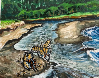 Swallowtails pooling at the Little Garlic River. Marquette,Mi
