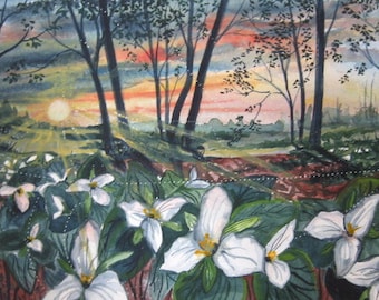 Sunrise Trilliums Marquette,Mi.
