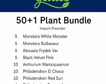 Pack découverte revendeur - 51 plantes de culture tissulaire (mélange d'aroïdes)