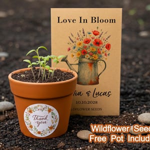 May include: A terracotta pot with small green plants and a "Thank You" sticker. A seed packet with "Love In Bloom" text and a floral illustration stands behind the pot. The packet also includes names and a date. Wildflower seeds are included.