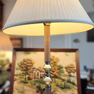 May include: An elegant table lamp with a cream-colored pleated lampshade. The lamp features a textured, brown and gold column and a brass base. A framed landscape painting is visible in the background.