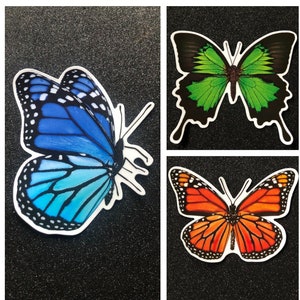 Three Beautiful Large Butterfly Clings ~ You Get 3 Colorful  Butterfly Window Clings ~ Butterflies For Decoration, Crafts, and DIY Projects!