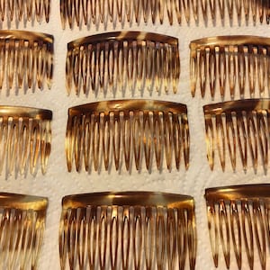 Vintage Tortoise Shell Lucite Hair Combs, Signed France (Pair)