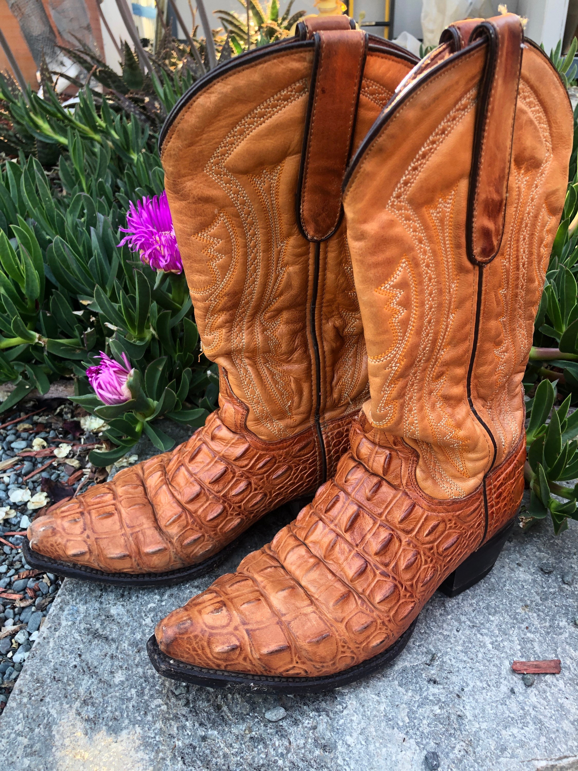 alligator skin boot
