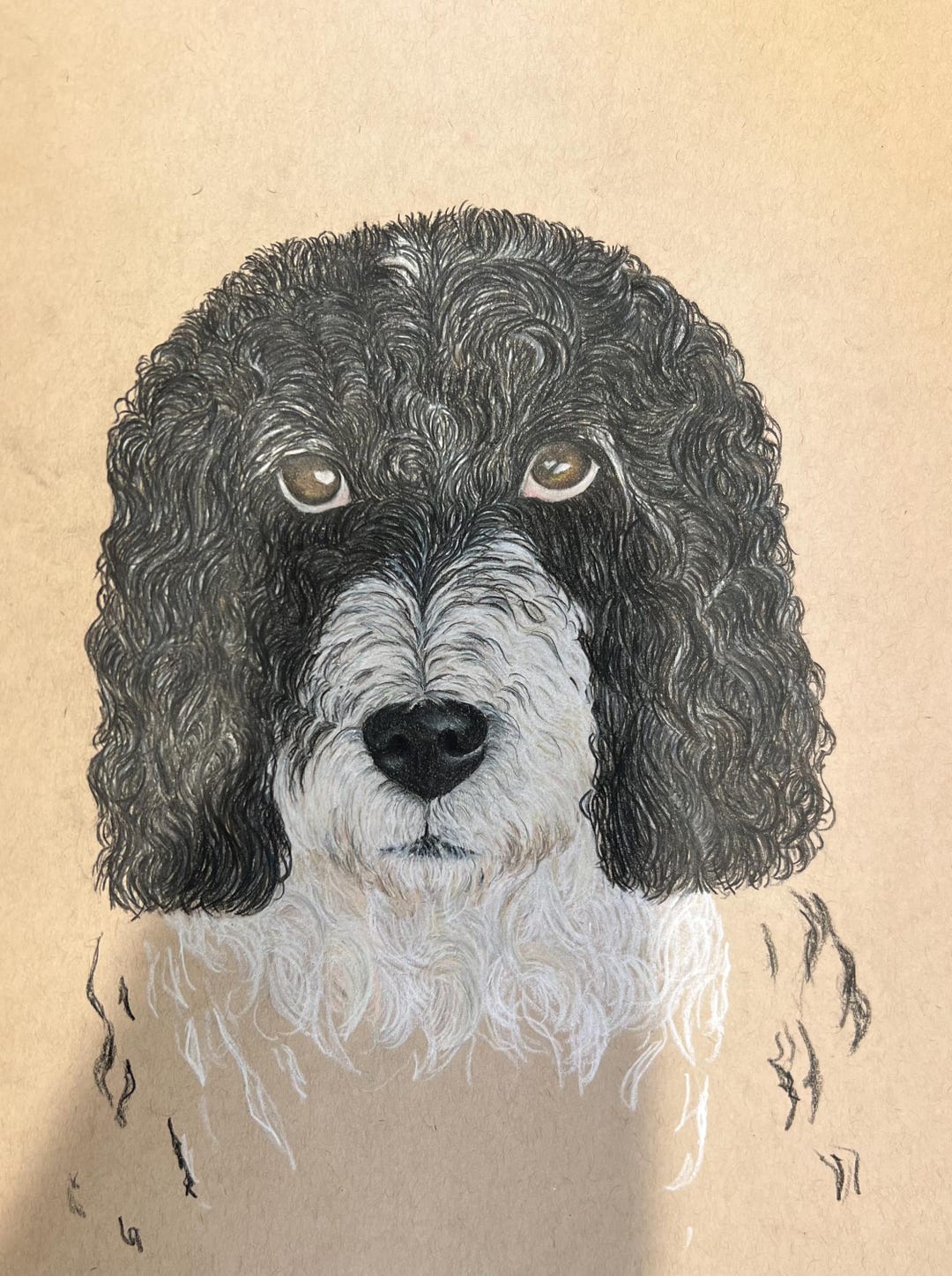 Custom Hand Drawn Colored Pencil Pet Portrait - Etsy