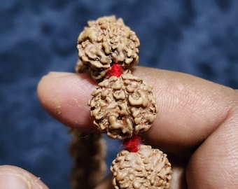 5 Mukhi Rudraksha Mala - Original Nepal, Jupiter Remedy