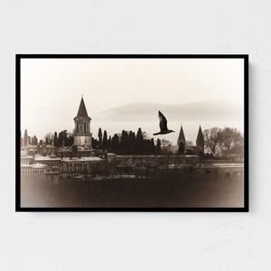 Topkapi Palace Istanbul Sepia Photography Print, Vintage Bird in Flight Wall Art