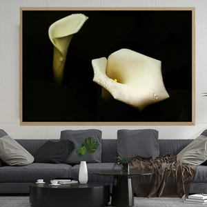 Peut inclure: Une impression d'art encadrée représentant deux callas blanches sur fond noir. Les fleurs ont des gouttelettes d'eau sur les pétales. L'œuvre est exposée au-dessus d'un canapé gris dans un salon.