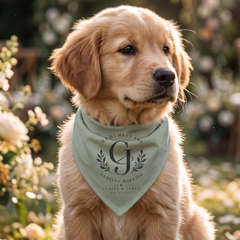 Engagement Dog Bandana, Custom Proposal Announcement, Personalized Engagement Dog Bandana, Custom Proposal Announcement, Personalized