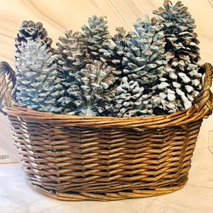 May include: A woven brown wicker basket filled with several large pine cones. The pine cones are a natural brown color with white accents. The basket has two handles and a woven design.
