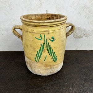 Antieke 19e-eeuwse Italiaanse Levensboom Ansjovis-, Sardine- en Confitpot, 26 cm hoog