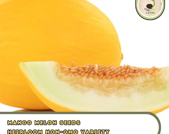 May include: A ripe mango melon with a vibrant yellow exterior and a slice revealing the pale green flesh and seeds. The text at the bottom reads "MANGO MELON SEEDS HEIRLOOM NON-GMO VARIETY".
